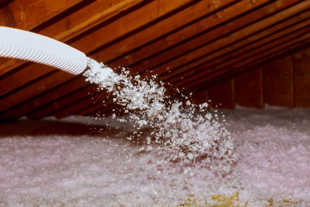 Best Geographic-Specific Insulation Services in Landen, OH