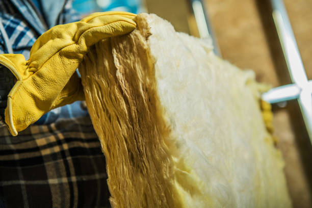 Best Specialized Insulation Services in Landen, OH